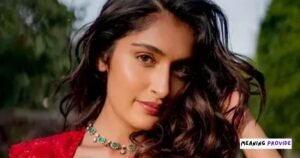 Niharika NM Net Worth, Age, Biography, Career & Income Niharika NM Income Sources & Earnings