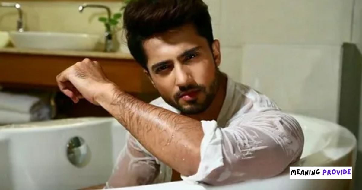 Rehaan Roy Biography