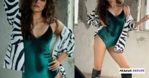 Who Is Mithila Palkar?